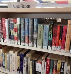 our adult fiction collection