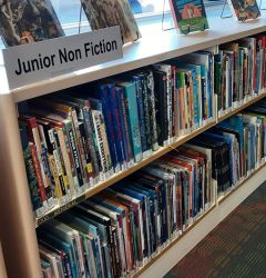 the library junior fiction book collection