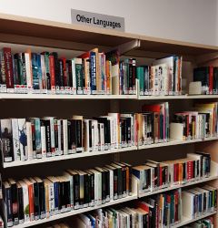 our collection of books in languages other than English