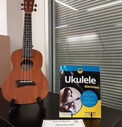 one of our ukuleles on display