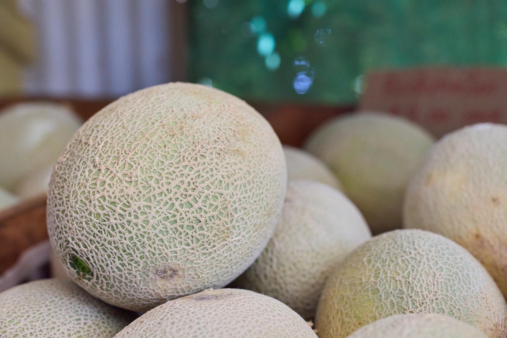 Growers Of leafy Greens, melons and berries Image