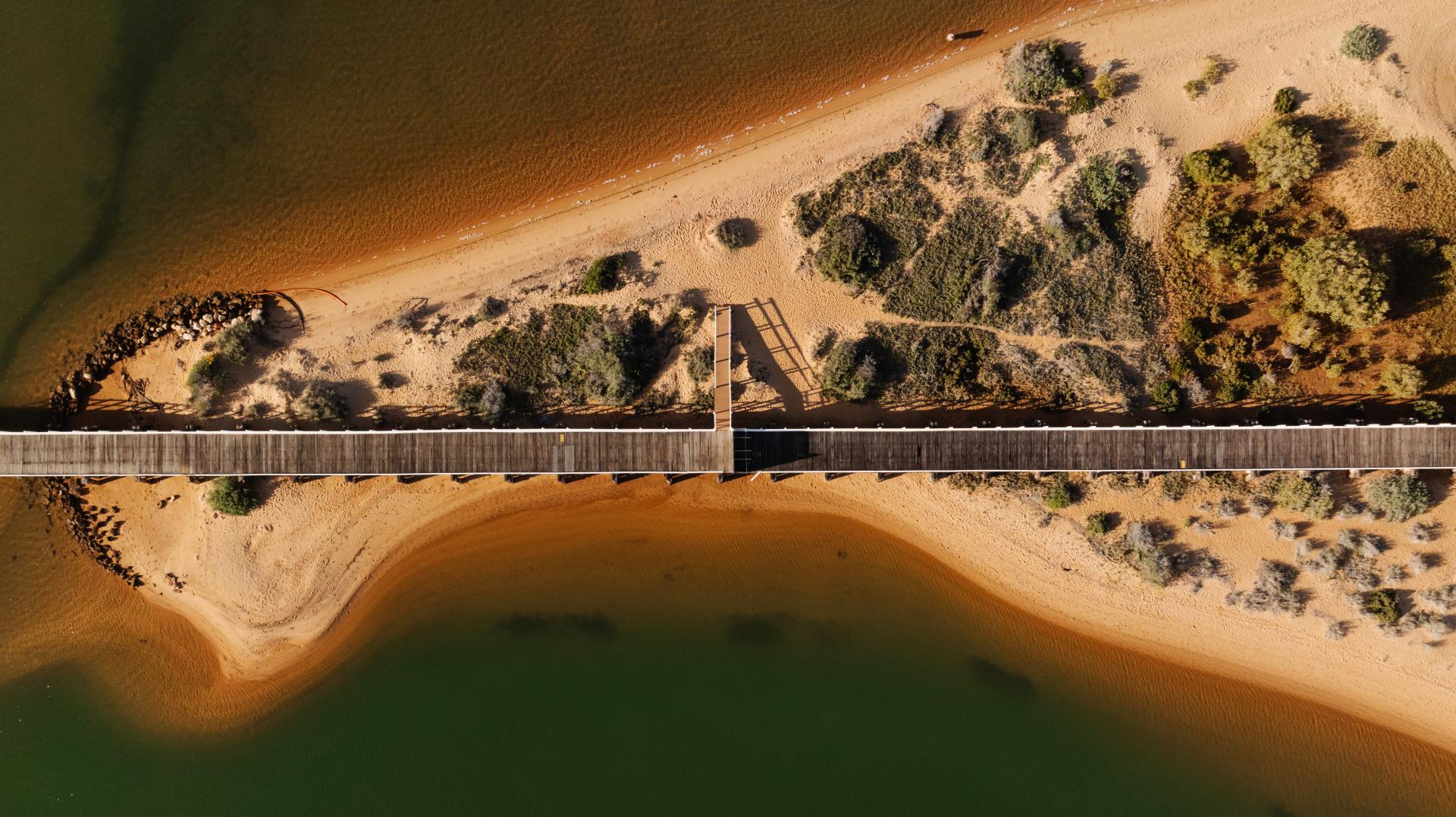 Structure & Management Plans Image