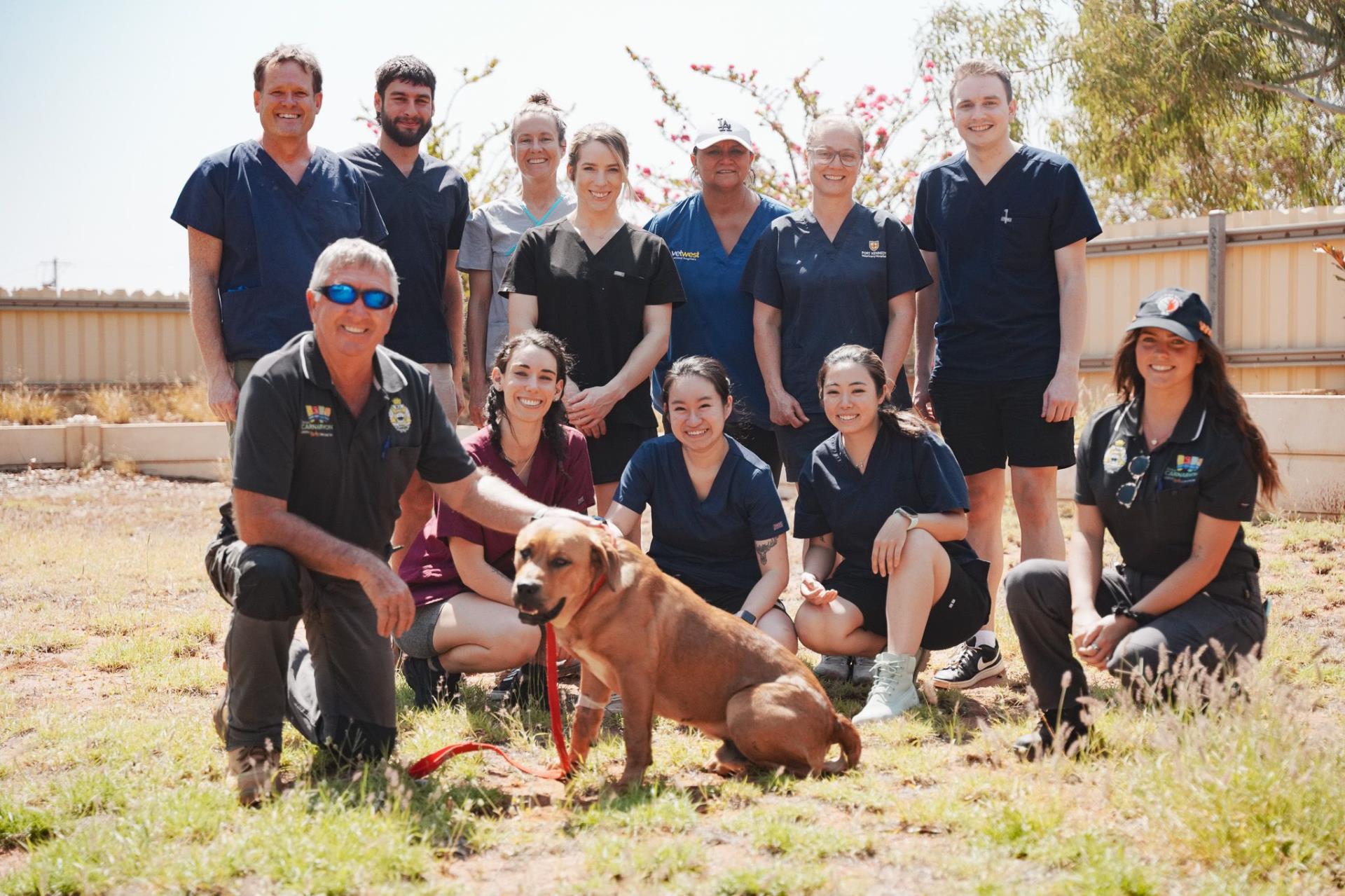 Murdoch University Sterilisation Program