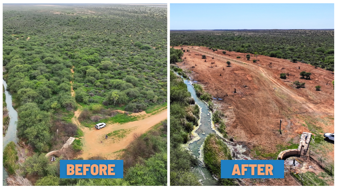 Mesquite Mulching Completed at Bibbawarra Bore